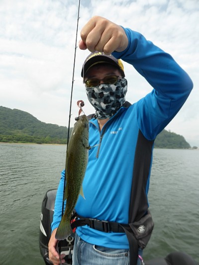 truth news ブログ写真 2014/07/09