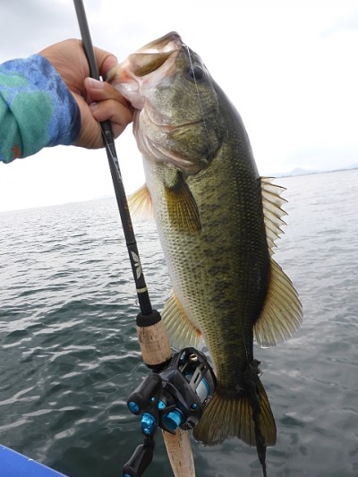 truth news ブログ写真 2014/07/09