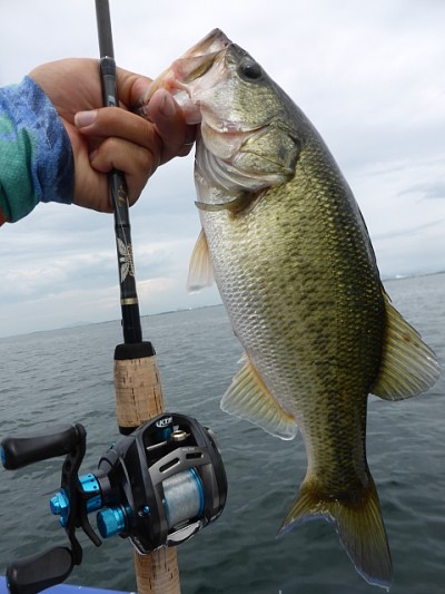 truth news ブログ写真 2014/07/09