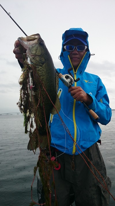 truth news ブログ写真 2014/07/10