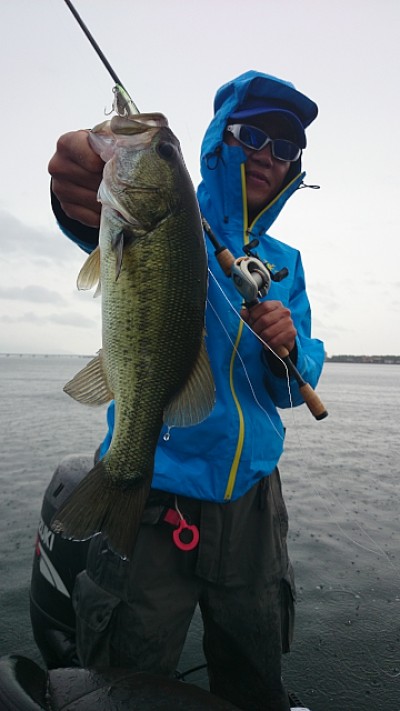 truth news ブログ写真 2014/07/10