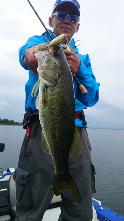 truth news ブログ写真 2014/07/10