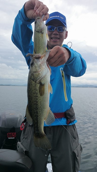 truth news ブログ写真 2014/07/10