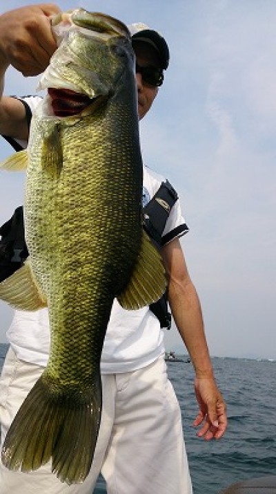 truth news ブログ写真 2014/07/12