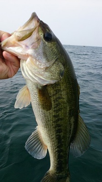 truth news ブログ写真 2014/07/12