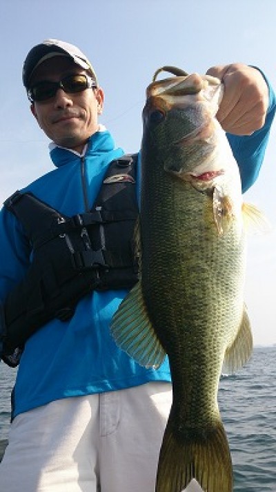 truth news ブログ写真 2014/07/12