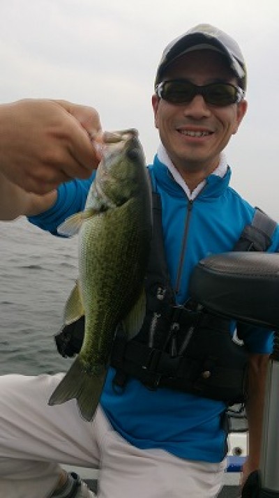 truth news ブログ写真 2014/07/12