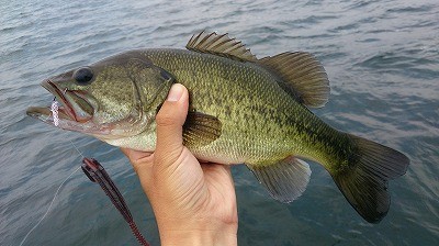 truth news ブログ写真 2014/07/12