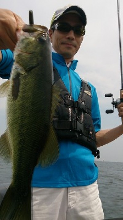 truth news ブログ写真 2014/07/12