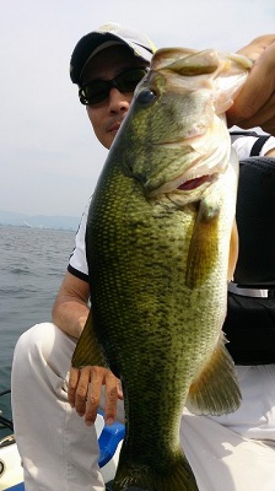 truth news ブログ写真 2014/07/12