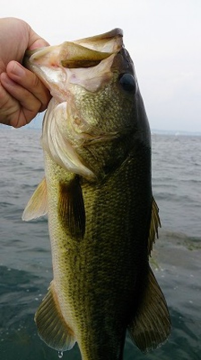 truth news ブログ写真 2014/07/12