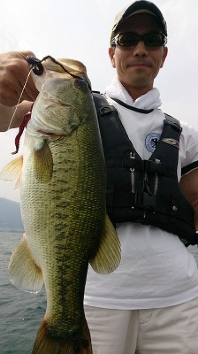 truth news ブログ写真 2014/07/12