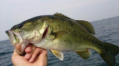 truth news ブログ写真 2014/07/12