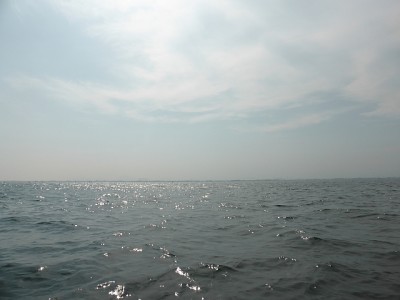 truth news ブログ写真 2014/07/12