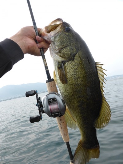 truth news ブログ写真 2014/07/12