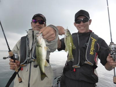 truth news ブログ写真 2014/07/14