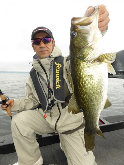 truth news ブログ写真 2014/07/14