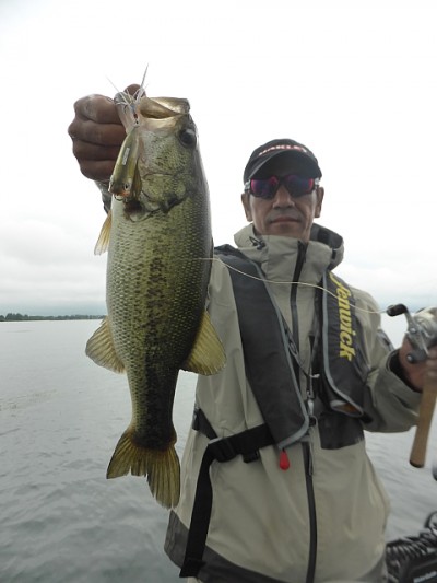 truth news ブログ写真 2014/07/14