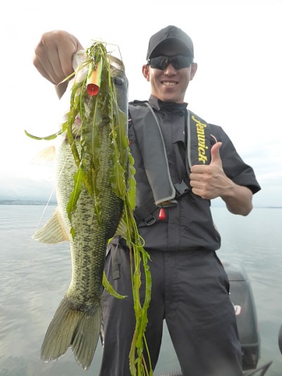 truth news ブログ写真 2014/07/14