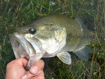 truth news ブログ写真 2014/07/15