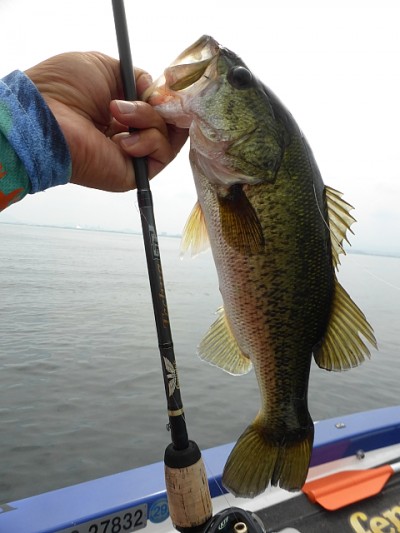 truth news ブログ写真 2014/07/15