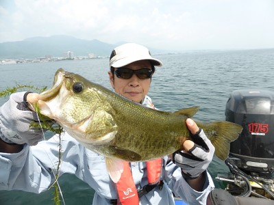 truth news ブログ写真 2014/07/15