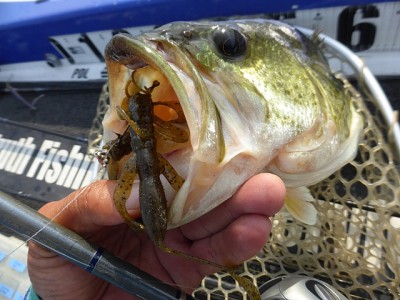 truth news ブログ写真 2014/07/16