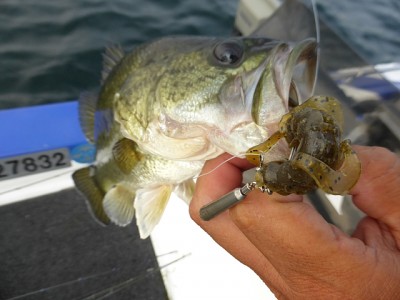 truth news ブログ写真 2014/07/16