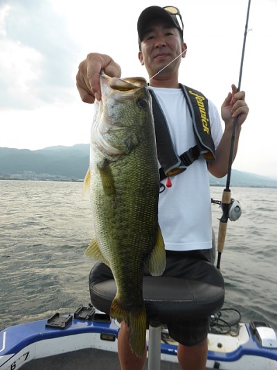 truth news ブログ写真 2014/07/16