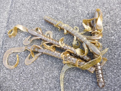 truth news ブログ写真 2014/07/16