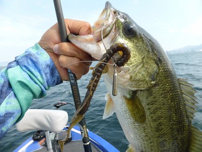 truth news ブログ写真 2014/07/16