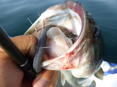 truth news ブログ写真 2014/07/16