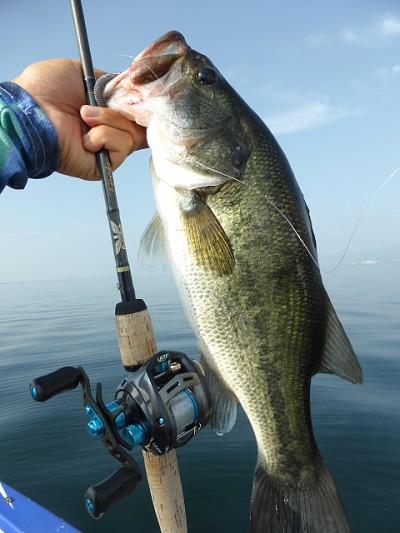 truth news ブログ写真 2014/07/16