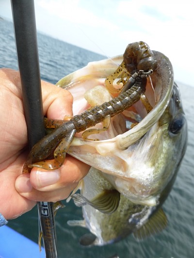 truth news ブログ写真 2014/07/16