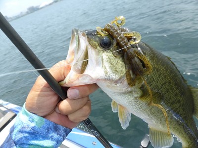 truth news ブログ写真 2014/07/16