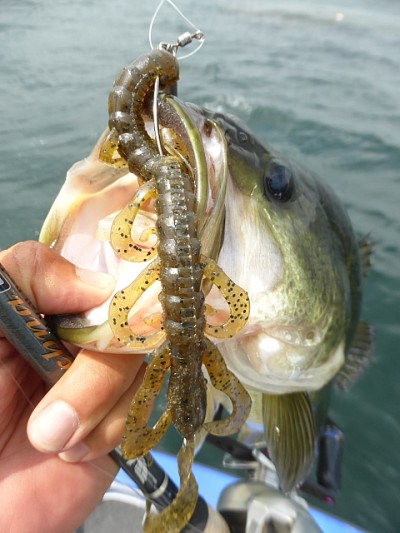 truth news ブログ写真 2014/07/16