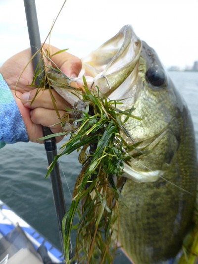 truth news ブログ写真 2014/07/16