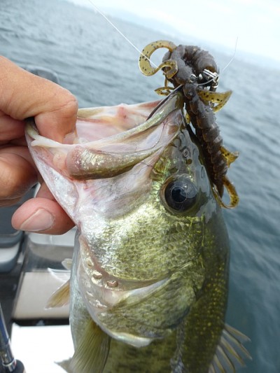 truth news ブログ写真 2014/07/16