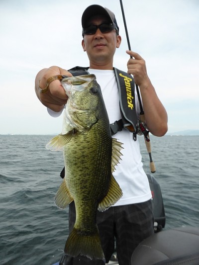 truth news ブログ写真 2014/07/16