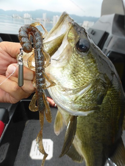 truth news ブログ写真 2014/07/18