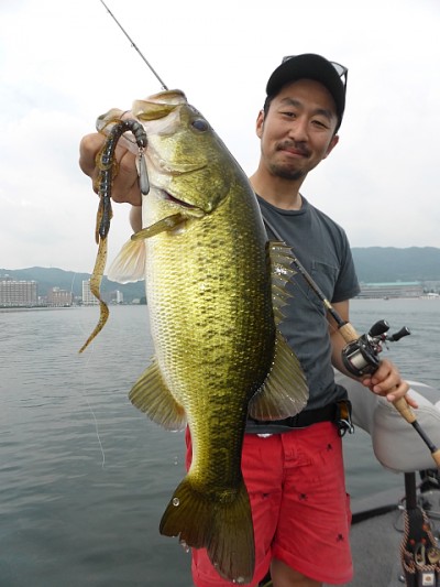 truth news ブログ写真 2014/07/18