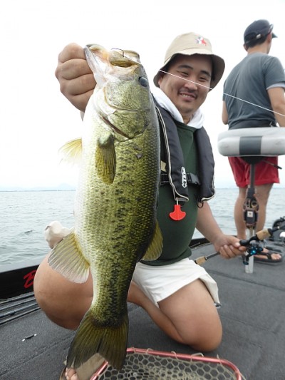 truth news ブログ写真 2014/07/18