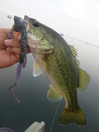 truth news ブログ写真 2014/07/20