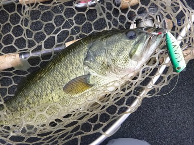 truth news ブログ写真 2014/07/20