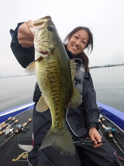 truth news ブログ写真 2014/07/20