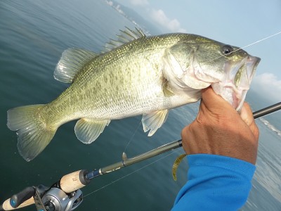 truth news ブログ写真 2014/07/22