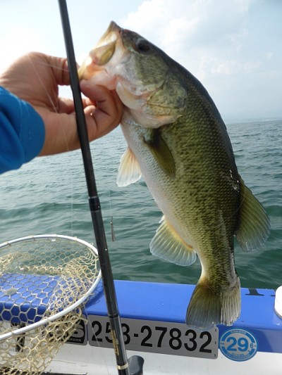 truth news ブログ写真 2014/07/22