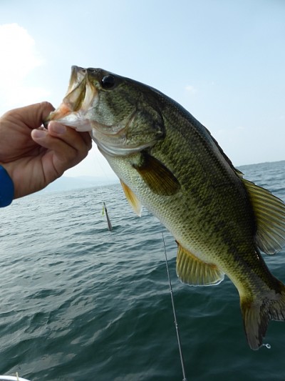 truth news ブログ写真 2014/07/22