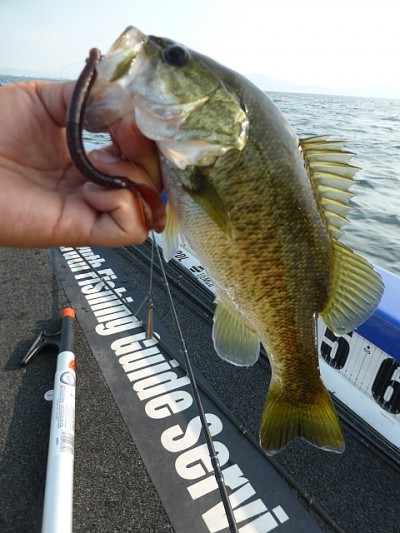 truth news ブログ写真 2014/07/22