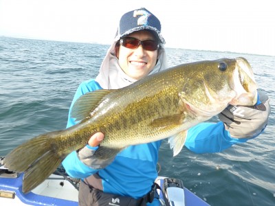 truth news ブログ写真 2014/07/22